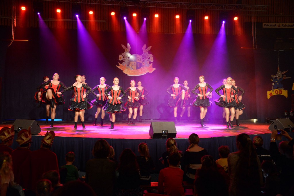 ../Images/Dansmarieke festival 2015 257.jpg